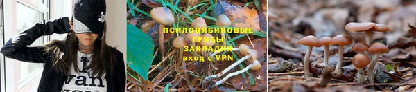 синтетический гашиш Армянск