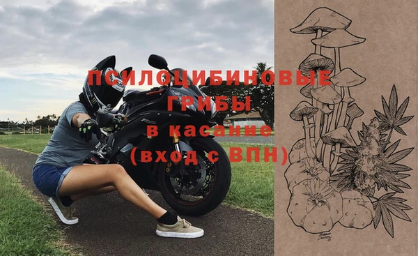 молекула духа Аркадак