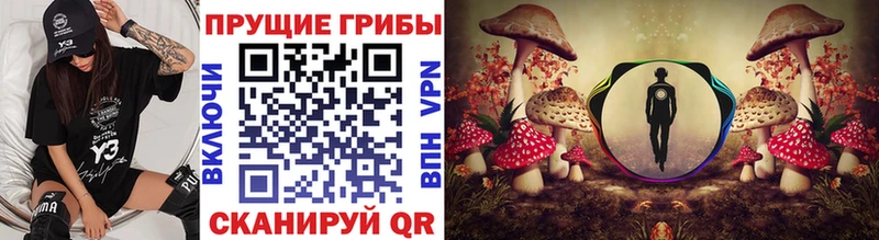 hydra ONION  Ирбит  Псилоцибиновые грибы MAGIC MUSHROOMS 